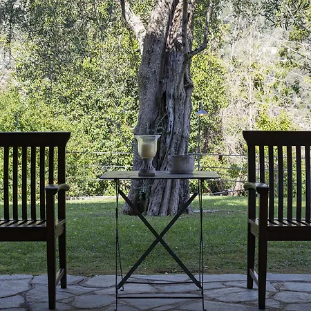 San Massimo By Wonderful Italy * Rapallo